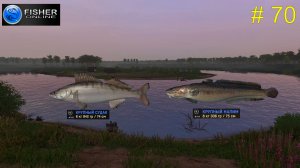 река Пра. ч.19  На пути к серебряному трофею: судак и еще раз налим.  # 70  Fisher Online