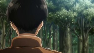 Levi Кapral | My Demons AMV