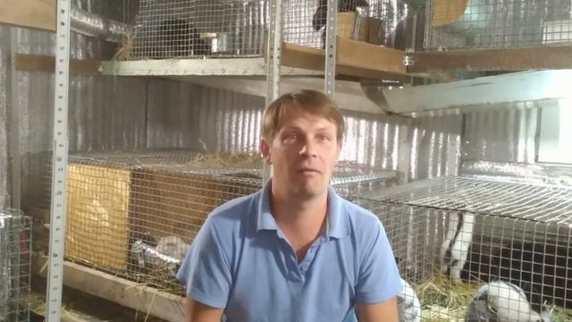 Что делать если у кролика слезятся глаза. Личный опыт лечения. смотреть онлайн