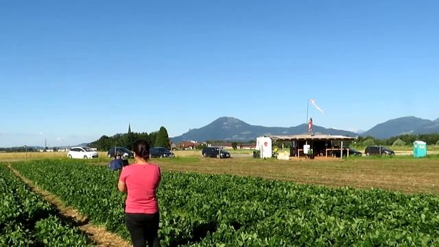 Canon Powershot SX540 HS ZOOM Test смотреть онлайн