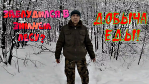 Заблудился в зимнем лесу. Добыча еды.