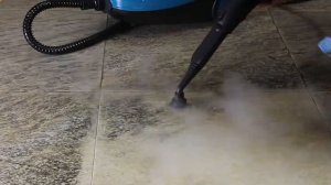 Пароочиститель Bort BDR-2500-RR