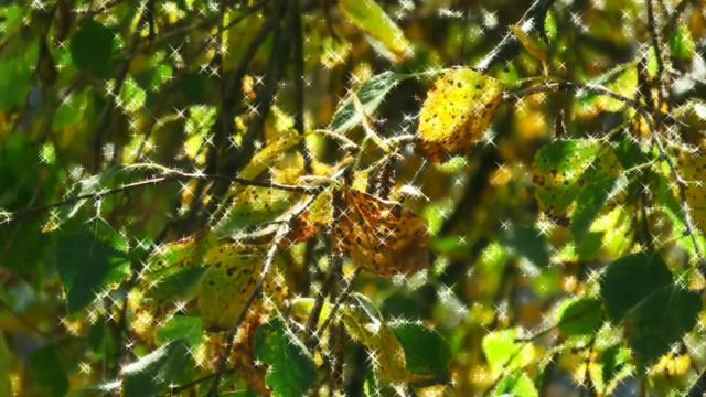 гиф# открытка # замечательного дня) смотреть онлайн