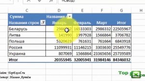 Как получить данные со сводной таблицы