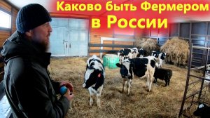 Каково это быть фермером в России. Знакомство с Фермерским Хозяйством