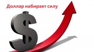 Курс доллара. Давление на рубль нарастает. Обзор на 02.02.2024