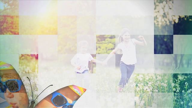 AdobeAfterEffects А ромашковое поле зацвело МК-28