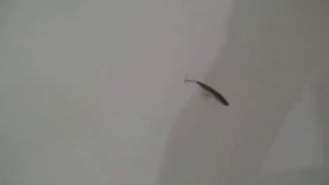 Воблер из вспененного ПВХ. Тонущий стикбейт