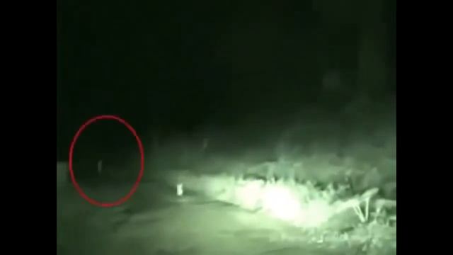 Невероятное видео призрака