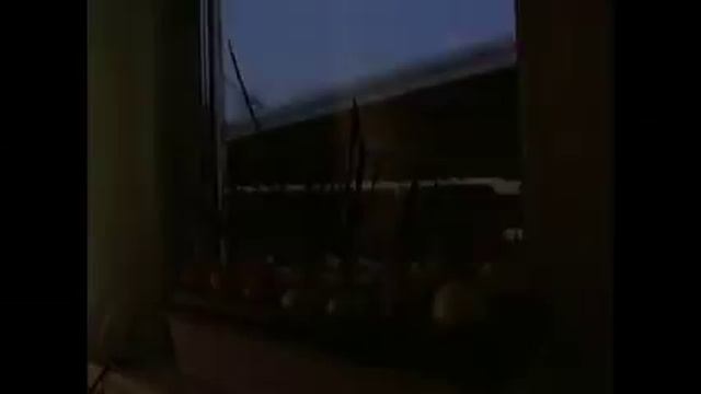 Луковое счастье зеленый лук за 15 дней, месяц ноябрь смотреть онлайн