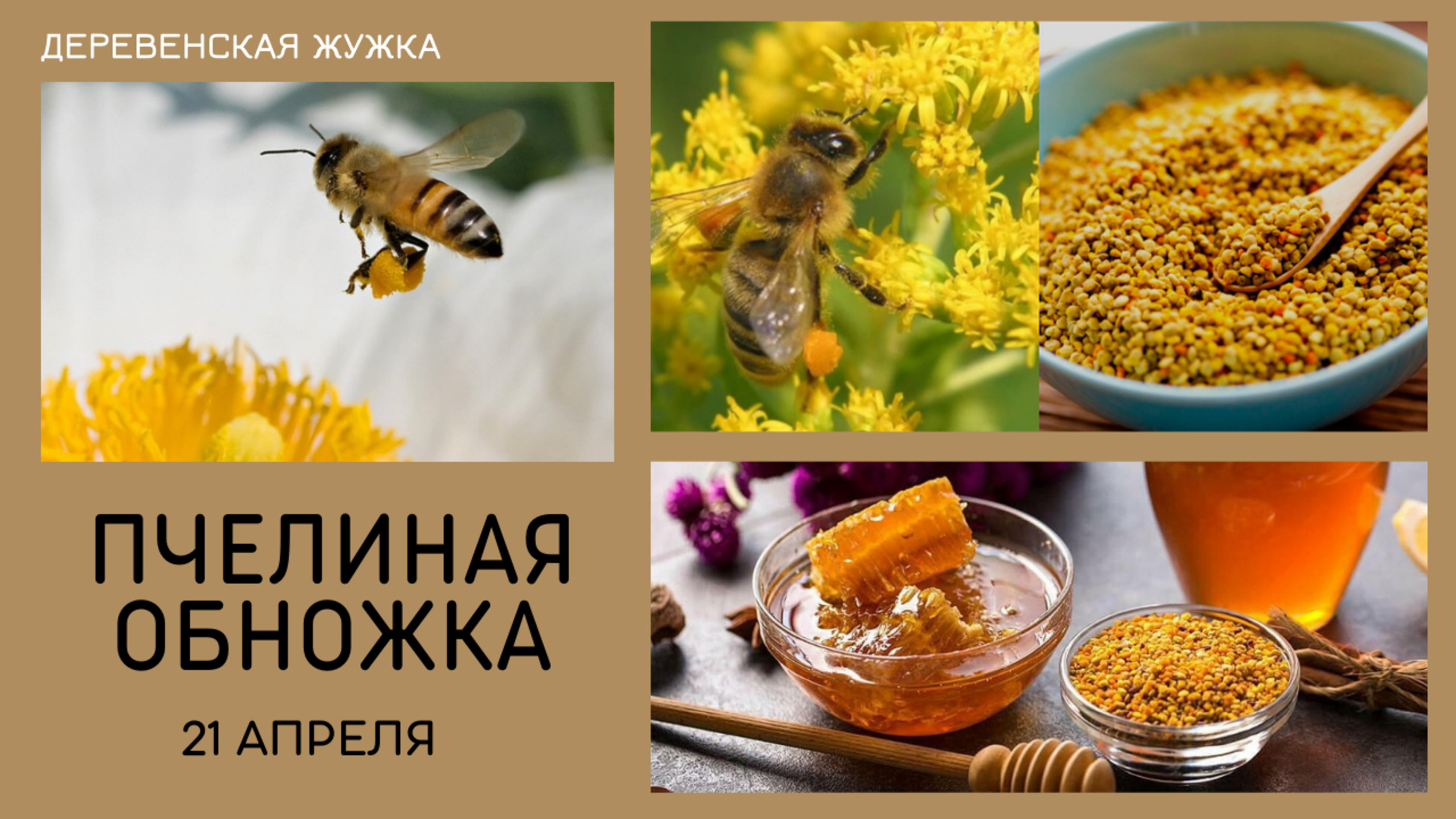 Пчелы носят обножку 21.04.20г Челябинская Область (Bee.)