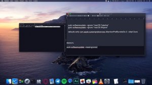 КАК УБРАТЬ ОБНОВЛЕНИЕ MACOS И ОПОВЕЩЕНИЕ В DOCK?! HACKINTOSH!