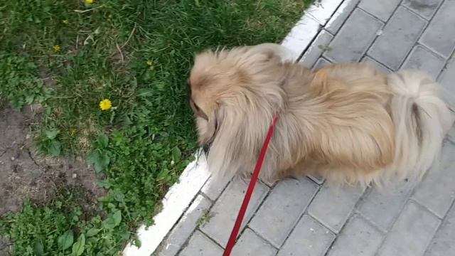 Вопрос-ответ.Отвечаю на ваши вопросы смотреть онлайн