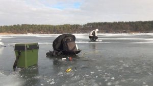 Ловля зимней ПЛОТВЫ со льда.