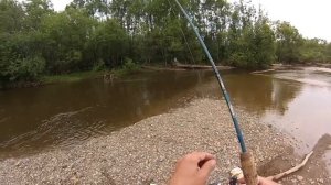 Рыбы ВАЛОМ. Отпускаем. Рыбалка на Горной реке. Рыбалка на спиннинг. Ловля хариуса