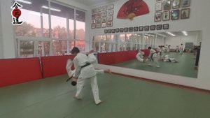 Фрагмент занятий по Айкидо дети 10-14 лет.