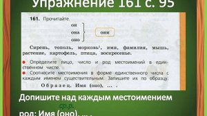 Род местоимений 3 лица единственного числа (3 класс)