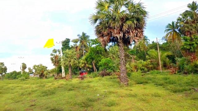 Easy Origami Paper Plane | Alpha Aircarft Flying Style | Marki's Origami смотреть онлайн