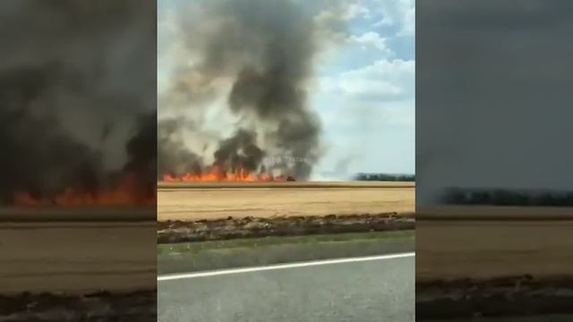 В поле за Светлоградом сгорел трактор