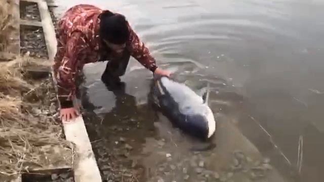 Рыбалка в Крылатском