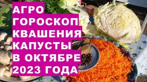 Агрогороскоп квашения капусты в октябре 2023 года. Agrogoroscope of sauerkraut in September 2023