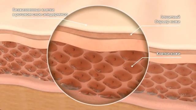 Прибор Dermasonic от ARTISTRY™ Часть 1, Новейшее технологическое решение для глубокой очистки кожи. смотреть онлайн