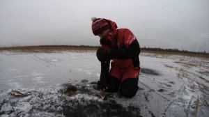 ДРУГ спас человека, ОПАСНЫЙ первый лед, окунь в тросте на Ладоге, открытие зимнего сезона 2021