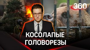 В Ростове судят украинских «медведей», главного косолапого могли казнить, но ему повезло