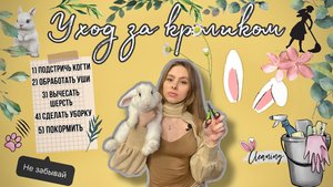 Основной уход за кроликами.