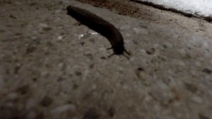 Обзор NOVOTEL SHARM EL SHEIKH. Апрель.