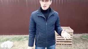Морозостойкие сорта киви. Нужно ли укрывать?