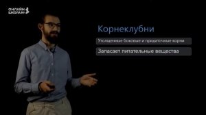 Видоизменения корней. Урок 4. Биология 6 класс