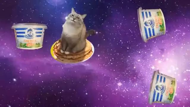 Кот блины сметана космос смотреть онлайн