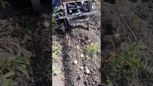 Кортофелекопалка на японский минитрактор Mitsubishi MT 16. Первые испытания