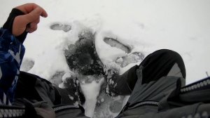 Ловля  окуня на балансир. В одну лунку и Блесну и Балансир.  Окунь на блесну. Зимняя рыбалка