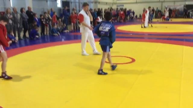 Самбо Подольск 21.01.2017 смотреть онлайн