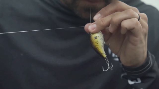 Top 8 Best Baitcasting Reels for Redfish Enthusiasts In 2024 смотреть онлайн