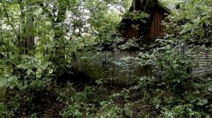 Жизнь_после_людей