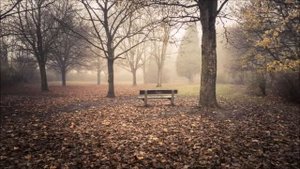 Випассана. День 3. Лекции С. Н. Гоенка / S. N. Goenka