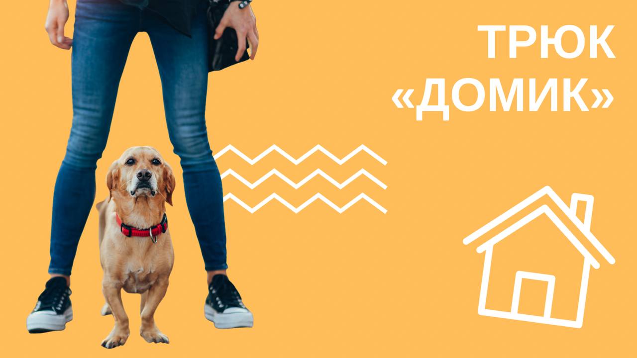 Трюк "Домик" смотреть онлайн