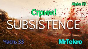 Subsistence (Играем и общаемся!)