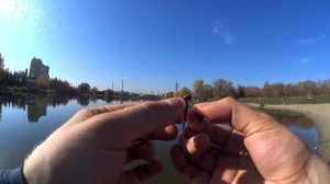 Ловля окуня на микроджиг. Фанатик Larva против Lucky John King Leech. Тест спиннинга Caiman Fuego.