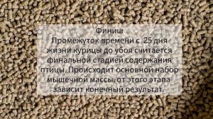 КОМБИКОРМ Старт-Рост-Финиш.