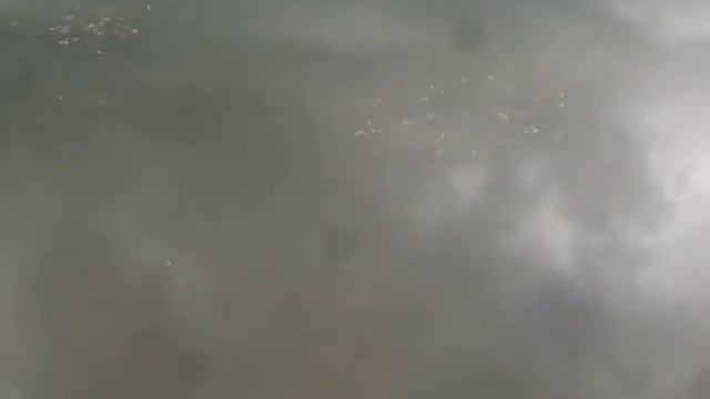 деревня майна арзамасский район нижегородской области смотреть онлайн