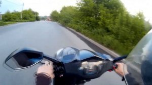 Nexus f22s stunt pushka