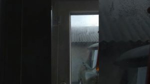 Как избавиться от летающих муравьёв