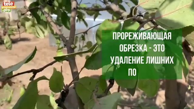 обрезка