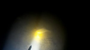 Ночная подводная охота  на пруду. Московская область.