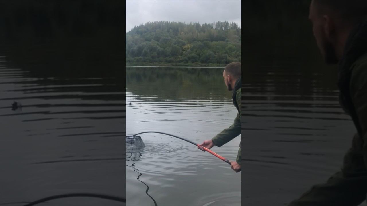 Огромный ЛЕЩ на ФИДЕР смотреть онлайн