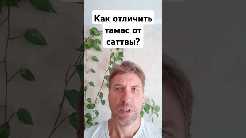 20240712 Как отличить тамас от саттвы? Цитата, Свами Вивекананда